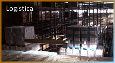 logistica